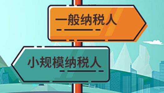 一般纳税人和小规模纳税人有哪些区别？